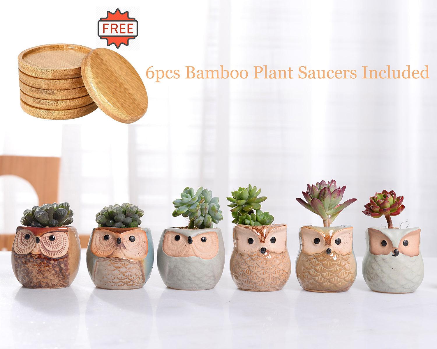 6-Piece Mini Owl Ceramic Succulent Planter Pots