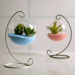 Hanging Glass Ball Terrarium Vase