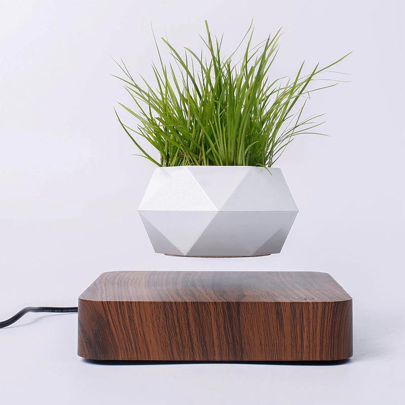 Magnetic Levitating Planter