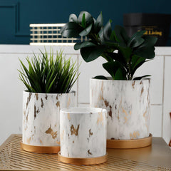 Golden Maze Flower Pots Collection