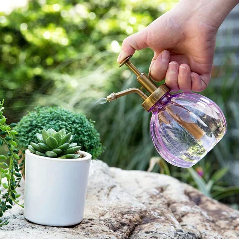 Colored Plant Mister Spray Bottle