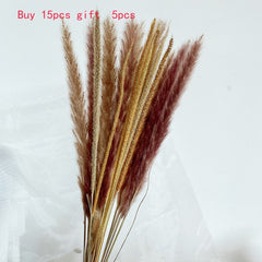 Grey Pampas Grass Decor Whit Dried Flowers Bouquet